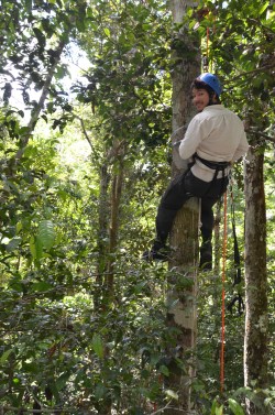 From a neighbouring flux tower 20m doesn’t look so high.