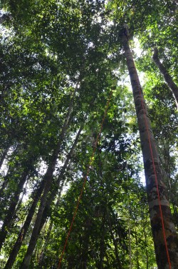 But it is (the white dot is me).